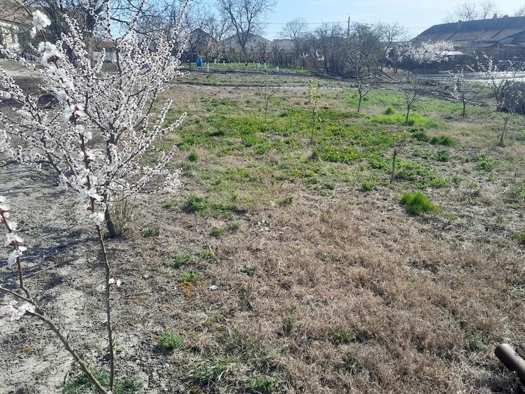 Teren de 1020 mp, în Becicherecu Mic