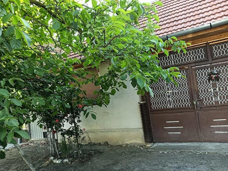 Casă cu 3 camere cu Teren 2400 Mp în Berindia