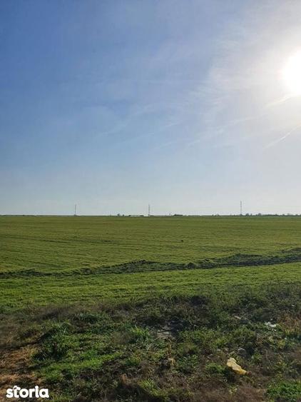 Teren de 25000 mp, în Agigea