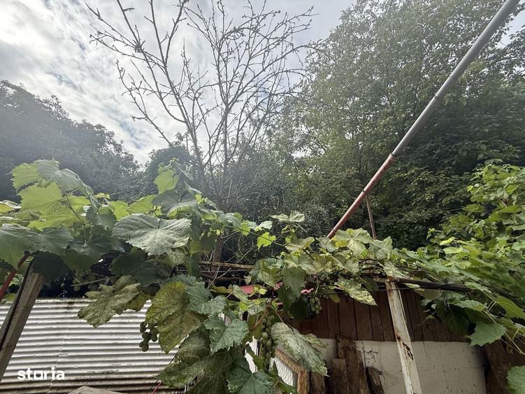 Casă cu 4 camere în Aurel Vlaicu
