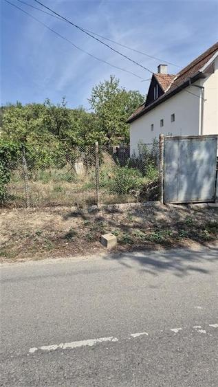 Teren Construcții intravilan de 3600 mp, în Podgoria