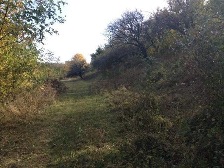 Teren agricol extravilan de 1125 mp, în Gușterița