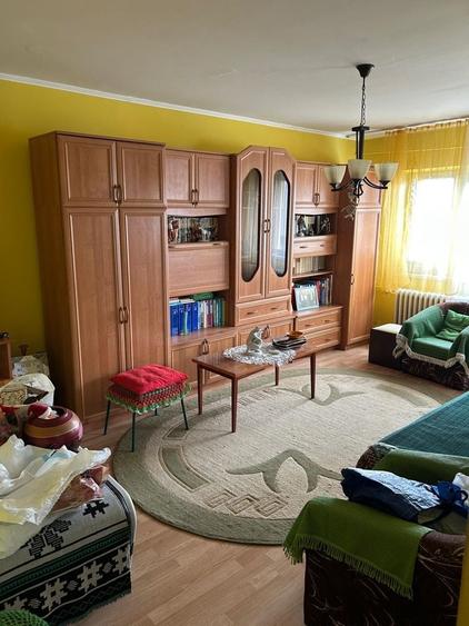 Apartament cu 2 camere decomandat în Rovine