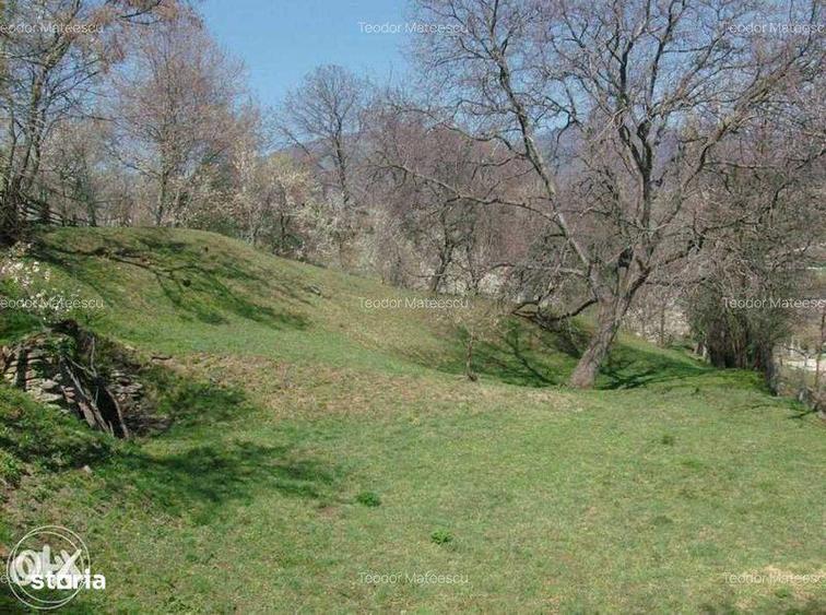 Teren de 3682 mp, în Măneciu