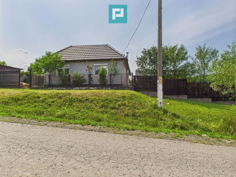 Casă individuală cu 3 camere cu Teren 3641 Mp în Pătârș