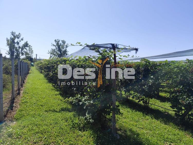 Proprietate specială, de 30 mp, în Nord