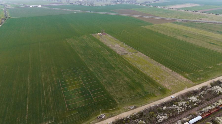 Teren Construcții intravilan de 1215 mp, în Giroc