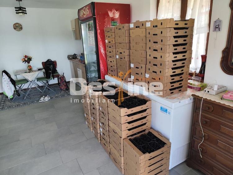 Proprietate specială, de 30 mp, în Nord
