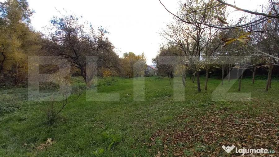Teren de 1000 mp, în Ciurila