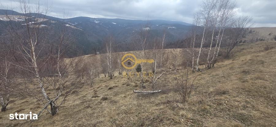 Teren de 2025 mp, în Rășinari