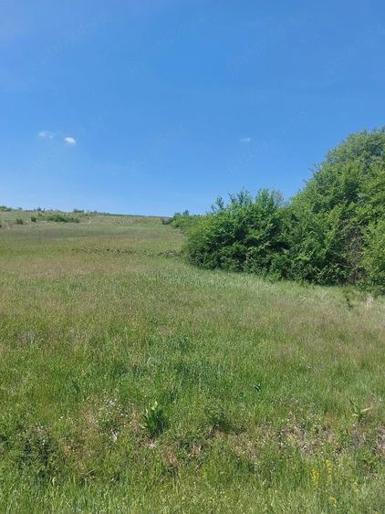 Teren de 8000 mp, în Felcheriu