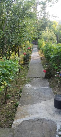 Casă în Racovițeni