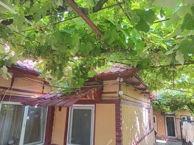 Garsonieră nedecomandată în Central