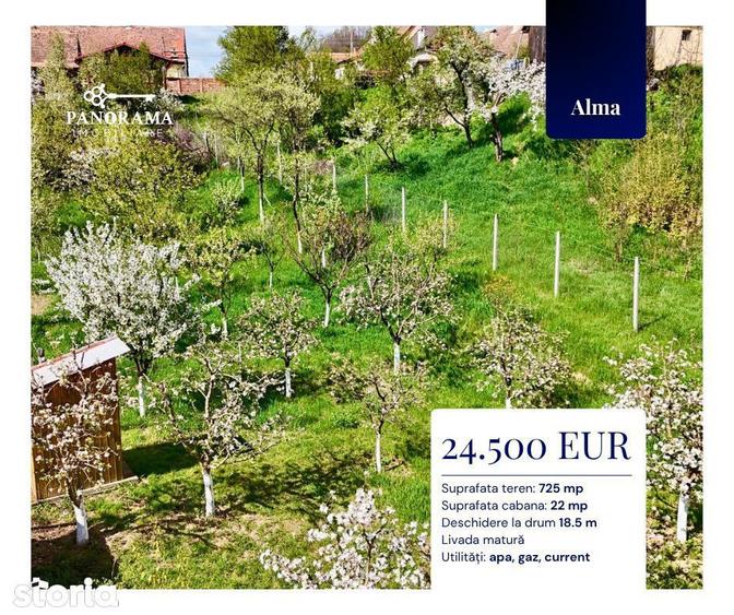 Teren Intravilan cu cabana in satul transilvanean Alma - 7