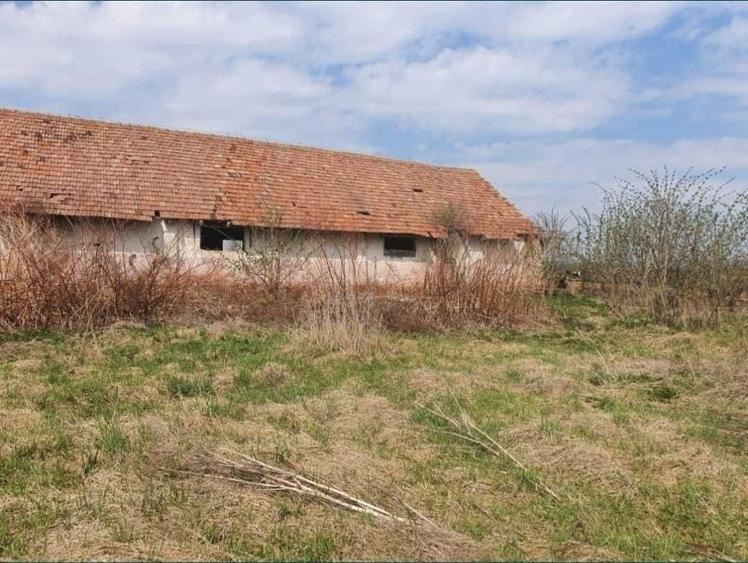 Teren de 1333 mp, în Șercaia