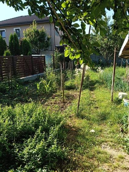 Casă cu 4 camere în Șerbănești