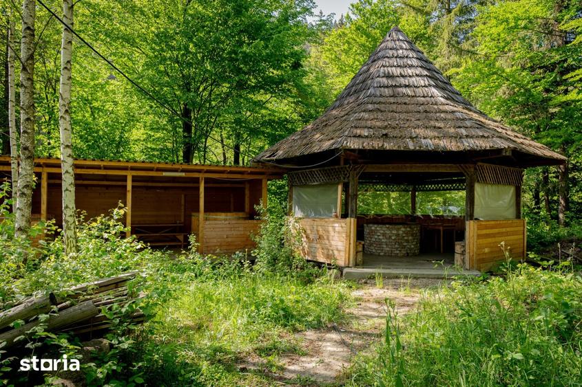 Casă cu Teren 2700 Mp în Brusturoasa