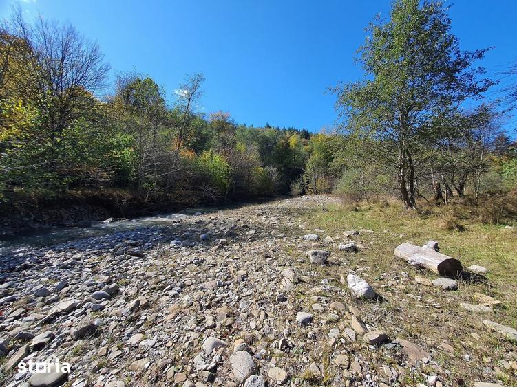 Teren de 18800 mp, în Brădet