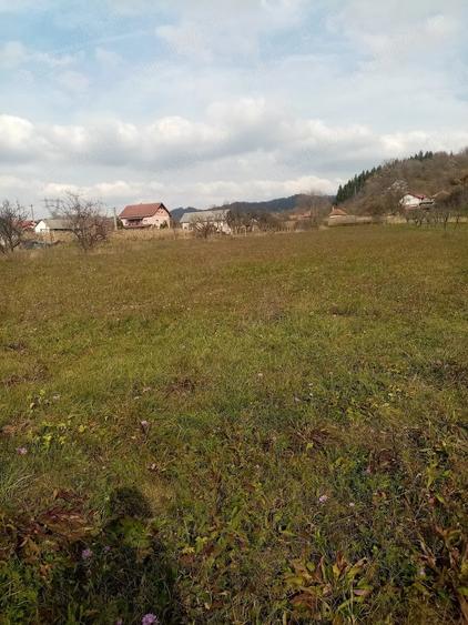 OFERTA! URGENT Teren de vanzare - 2