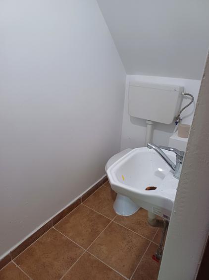 Casă individuală cu 3 camere cu Teren 1576 Mp în Vechea