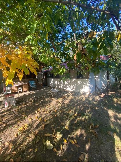 Casă cu 3 camere cu Teren 1600 Mp în Bujoreni