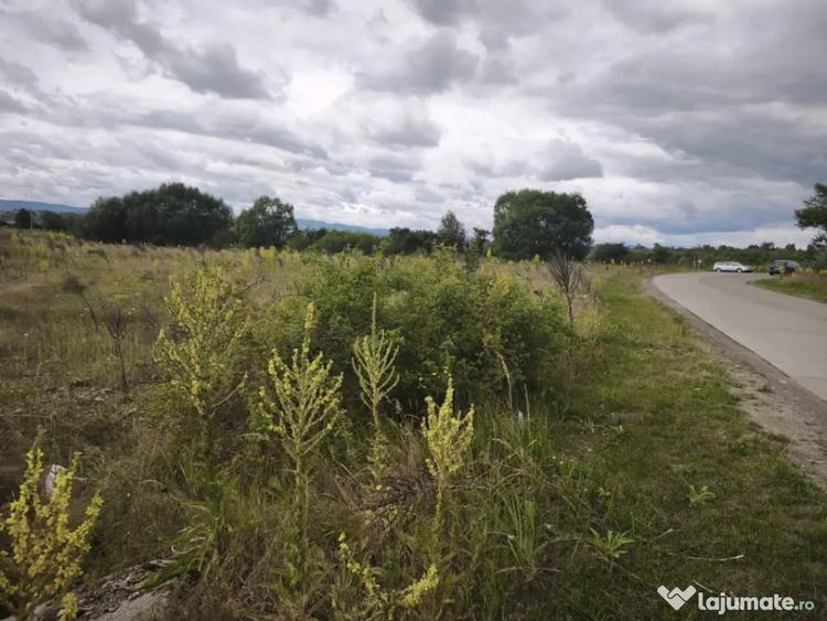 Teren intravilan 4594mp, deschidere 66ml, Galanesti, Radauti - 3