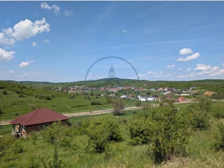 Oportunitate de investi?ie teren intravilan in zona Valea Sigmirului - 7