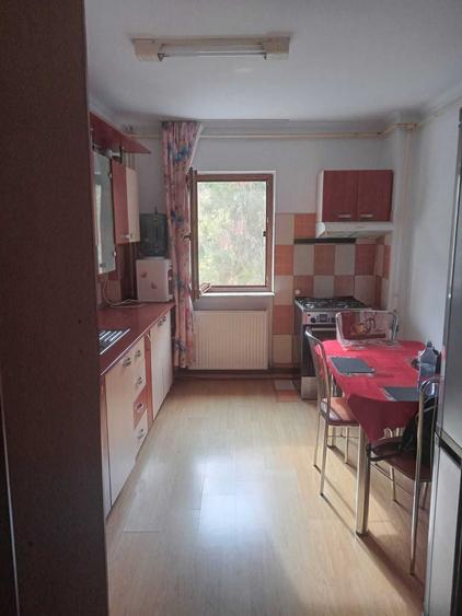 Apartament cu 3 camere decomandat în Banat