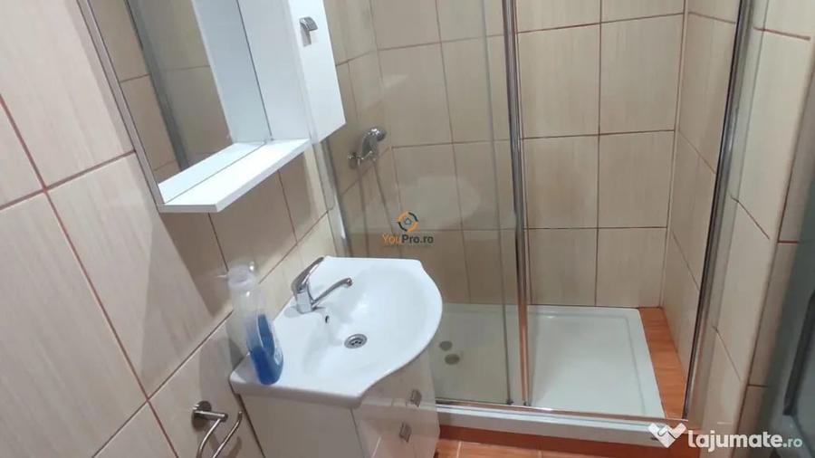 Garsonieră în Buziașului
