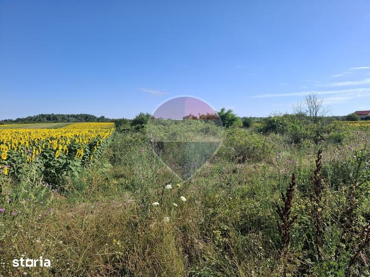 Teren de 28800 mp, în Drăgănescu