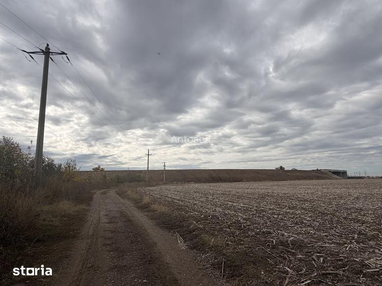Teren extravilan in Buftea, langa padure