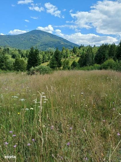 Teren de 15000 mp, în Câmpu lui Neag