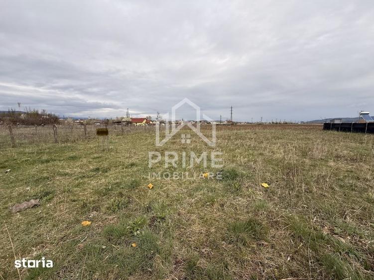 TEREN INTRAVILAN 525 MP, ZONA LINISTITA, ALBA IULIA - 3
