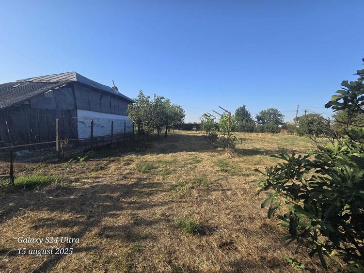 Casă cu 2 camere cu Teren 3092 Mp în Gruiu