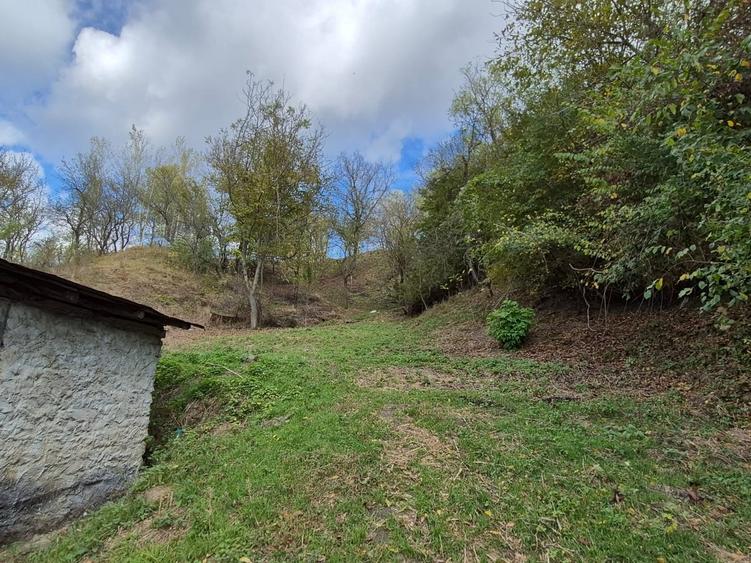 Casă cu 4 camere cu Teren 8000 Mp în Pruni