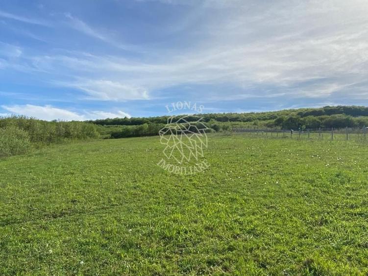 Teren agricol extravilan de 2160 mp, în Jelna
