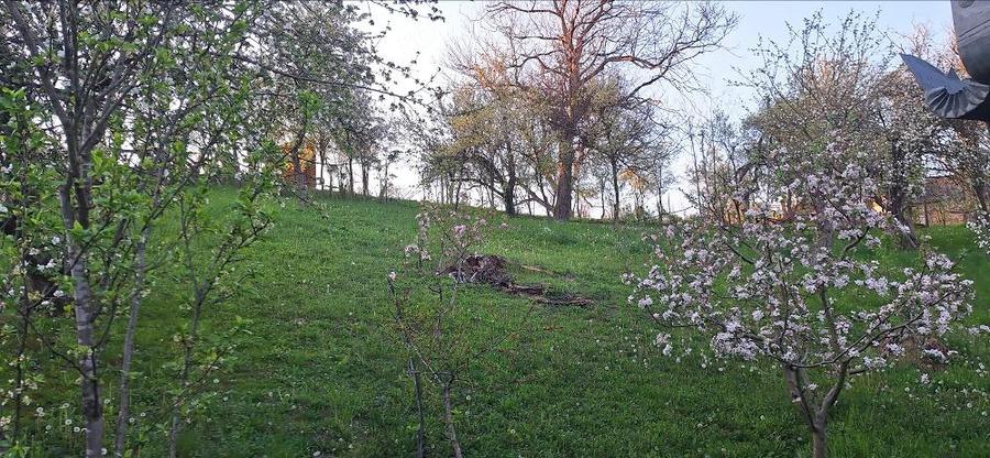 Casă cu Teren 21 Mp în Turbuța