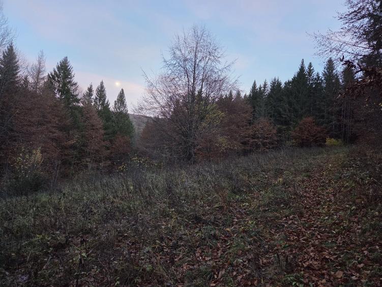 Teren de 1000 mp, în Sucevița