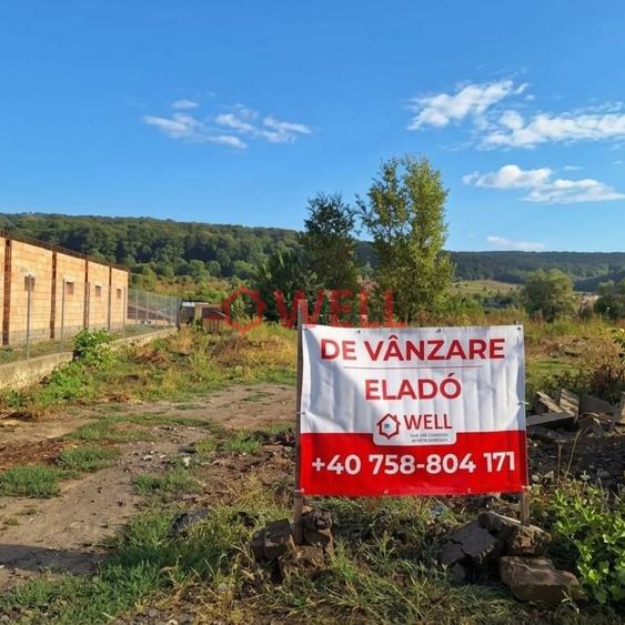 Teren Construcții intravilan de 750 mp, în Livezeni