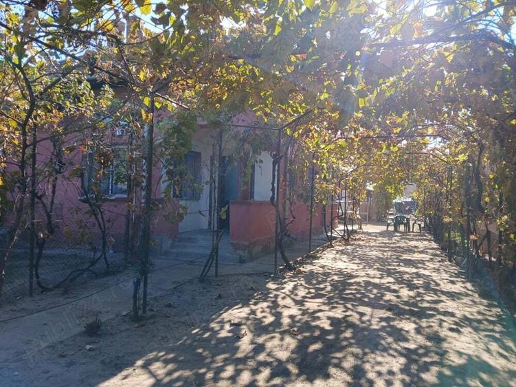 Casă cu 2 camere cu Teren 2000 Mp în Cârna