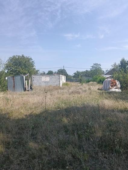 Teren în Alexandriei