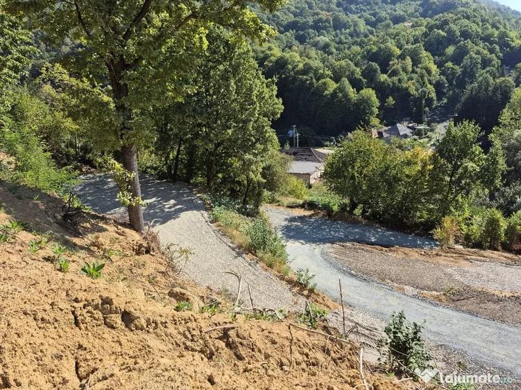 Teren în Valea Borcutului