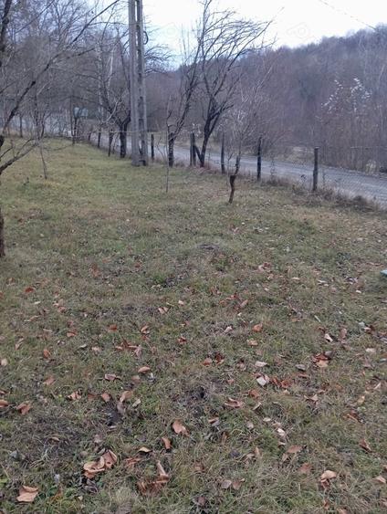 Teren de 2000 mp, în Ocina de Sus