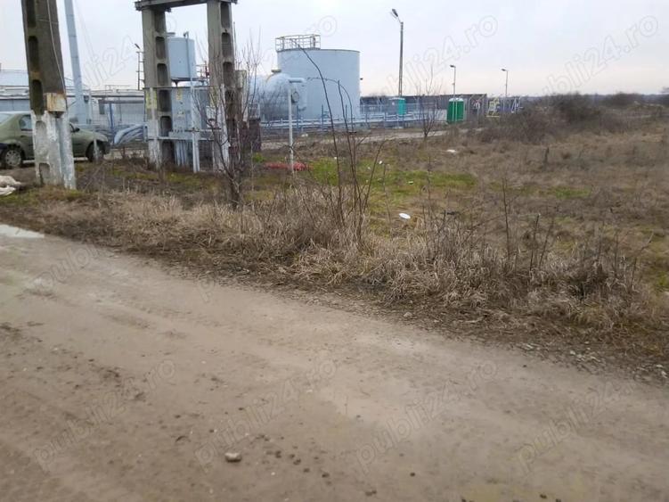 Teren de 5556 mp, în Dragomirești