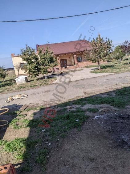 Ferma Zootehnică– Satchinez,  | 9,5 ha teren,vanzare sau schimb pentru jumatate - 5