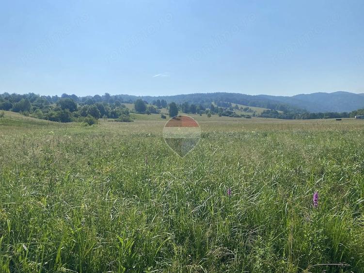 Teren de 4306 mp, în Vama Buzăului