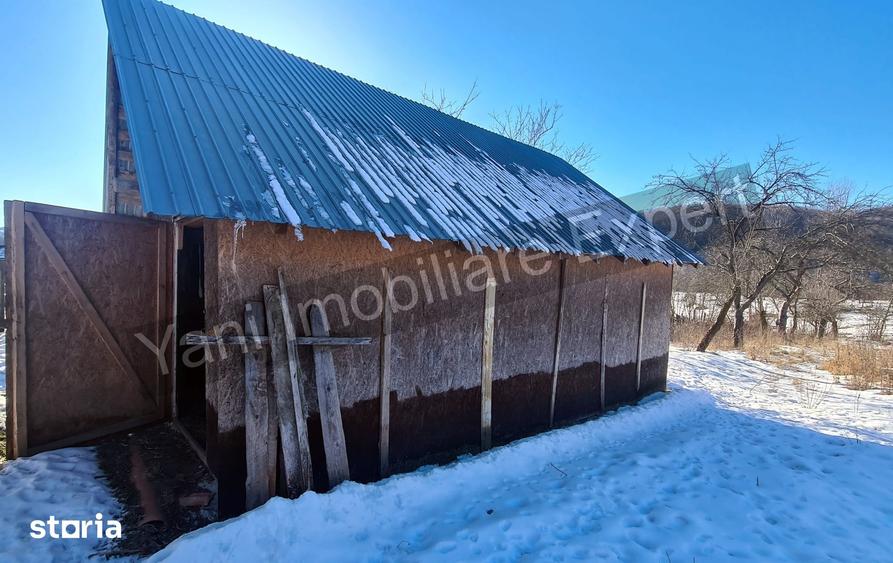 Casă cu 3 camere cu Teren 3877 Mp în Valea Danului