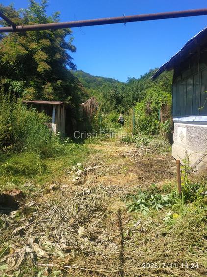 Pucioasa, casa si teren 1093 mp, gaze la poarta