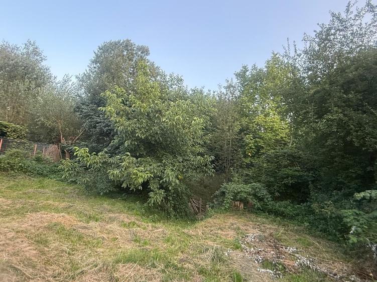 Teren intravilan Voinesti/Leresti 1700 mp - 3