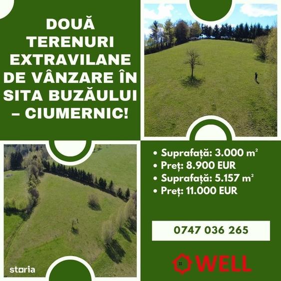 Spațiu comercial, în Sita Buzăului